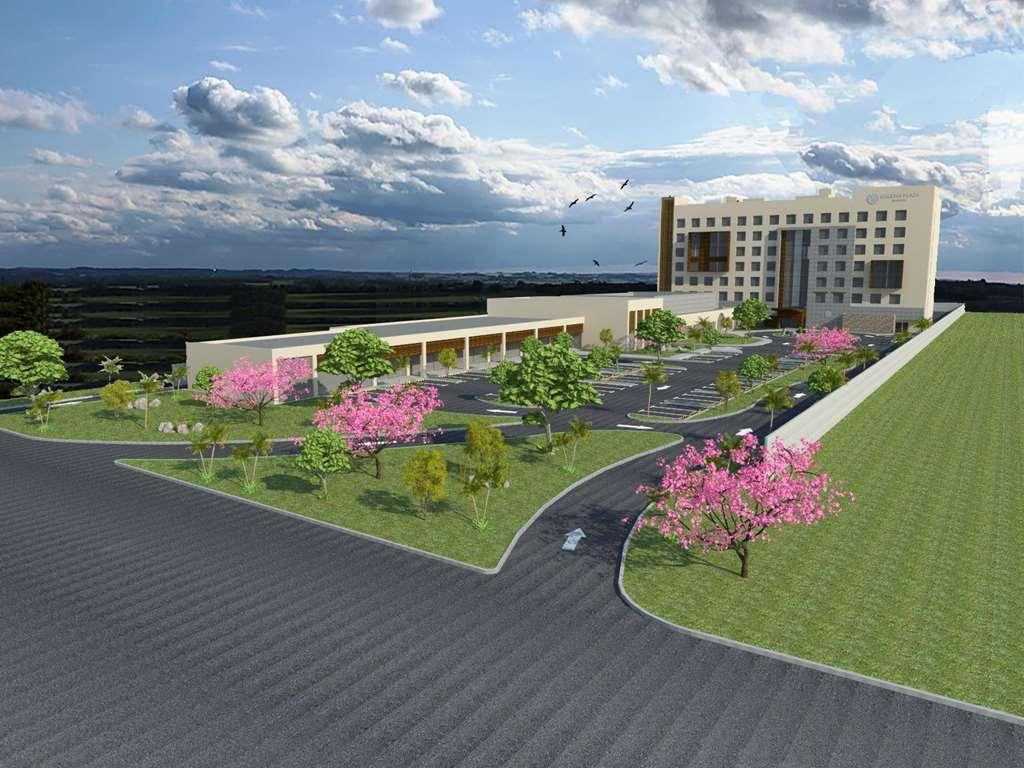 Galeria Plaza Irapuato Hotel Bagian luar foto